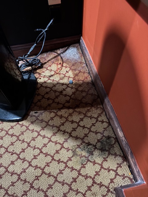 Doing All the Things–But Mostly&nbsp;Work