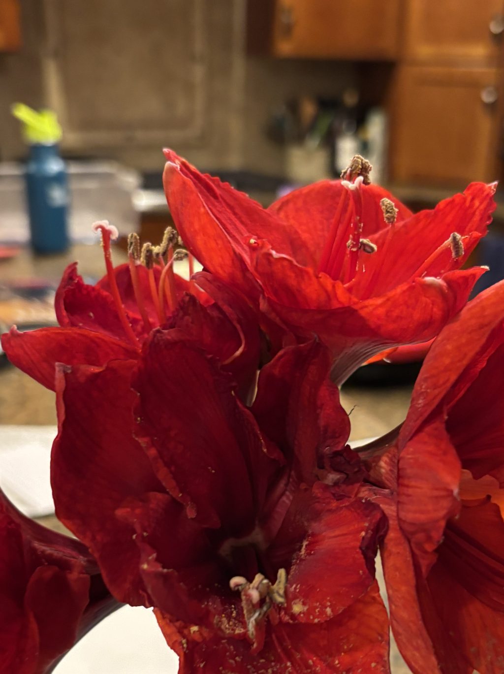 Cutting through the BS as we Celebrate